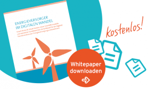 Whitepaper Energieversorger: Inputmanagement auf Basis von KI
