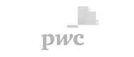 logo_pwc_grau